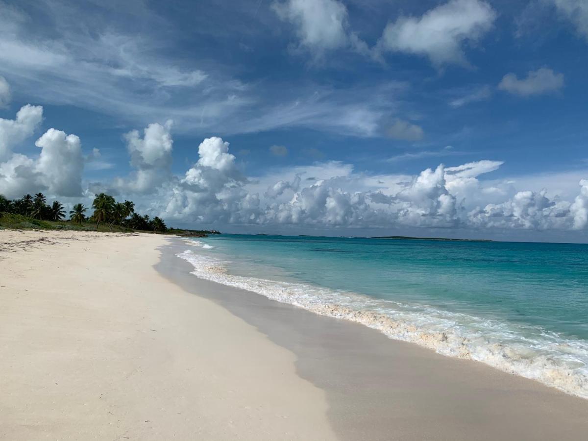 شقة Turtles Nest Bahamas جورج تاون المظهر الخارجي الصورة